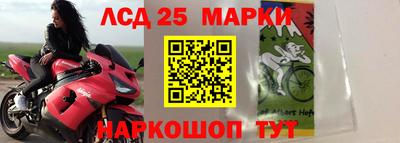 амф Сланцы