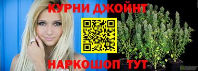 амф Сланцы