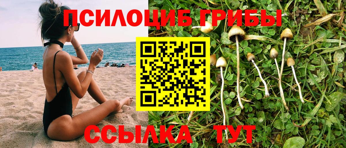 Галлюциногенные грибы ЛСД Новороссийск